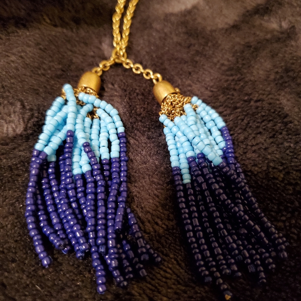 J Crew Necklace w/ Bag
